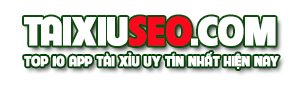 Taixiuseo.com