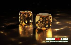 cach-soi-cau-tai-xiu