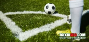 gioi-thieu-ve-keo-nha-cai-1